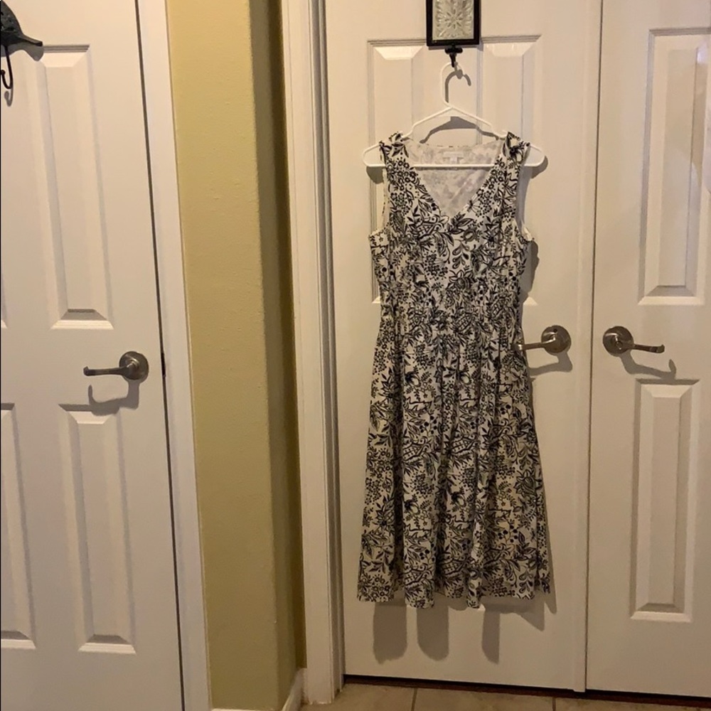 Women’s Dresa